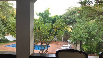 Garden Suite